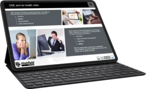 Display Screen Equipment (DSE)