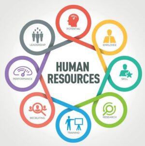 Introduction to Human Resources